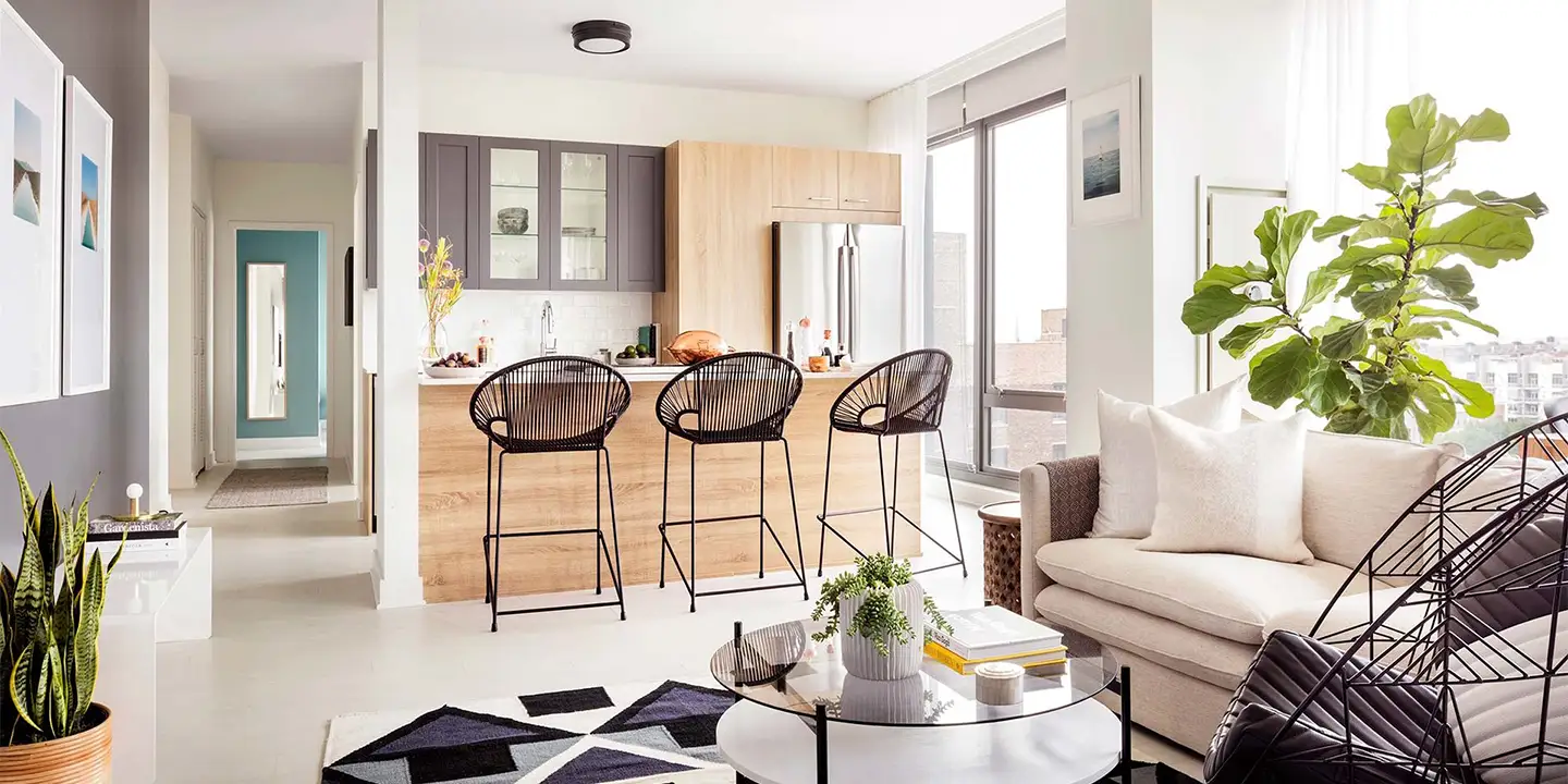Kitchen Cabinets Chicago Luxury Apartment Project